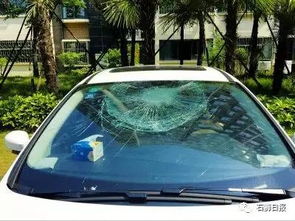新車未開走前擋玻璃破裂 換玻璃還是換車的抉擇