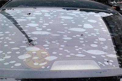 后擋風玻璃真的不能貼膜？很多人都理解錯了，電熱絲不該背鍋！